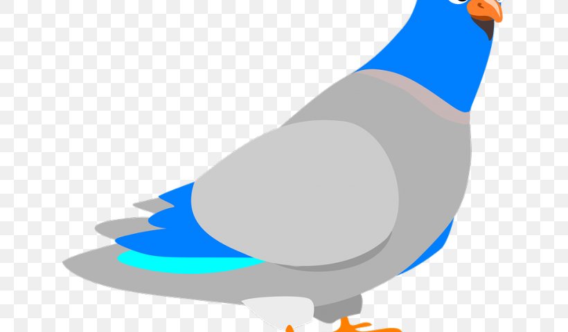 Homing Pigeon Pigeons And Doves English Carrier Pigeon Racing Homer Fantail Pigeon, PNG, 640x480px, Homing Pigeon, Beak, Bird, Columbiformes, Domestic Pigeon Download Free