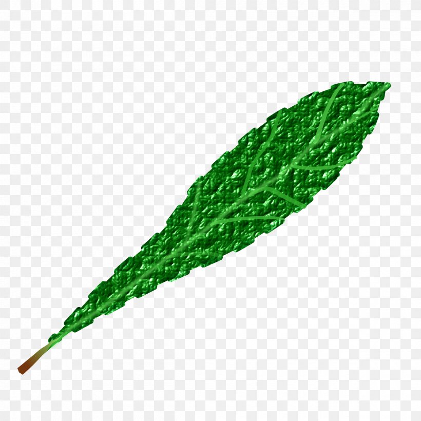 Leaf Clip Art, PNG, 2400x2400px, Leaf, Forest Green, Grass, Plant, Plant Stem Download Free