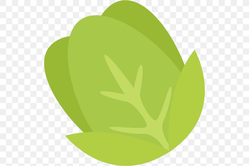 Leaf Green Font, PNG, 530x548px, Leaf, Grass, Green, Plant Download Free