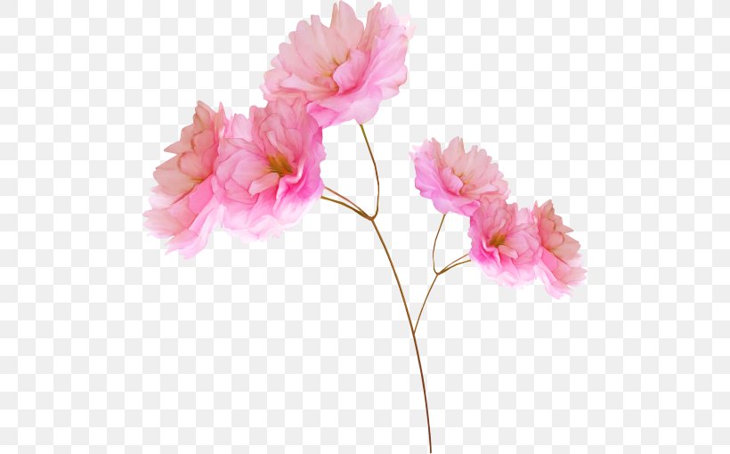 Pink Flowers, PNG, 500x510px, Flower, Artificial Flower, Blossom, Camellia, Carnation Download Free