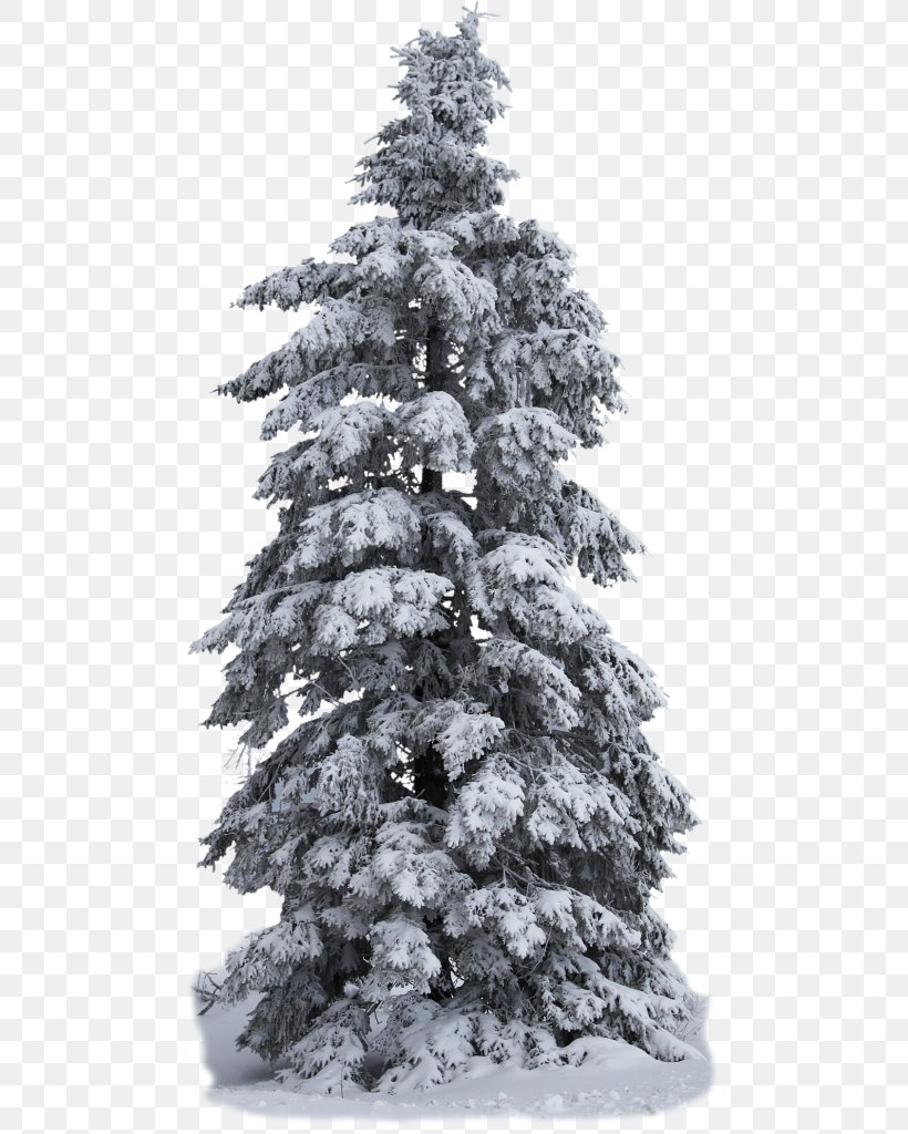 Spruce Pine Christmas Tree, PNG, 485x1024px, Spruce, Building Materials, Christmas, Christmas Decoration, Christmas Tree Download Free