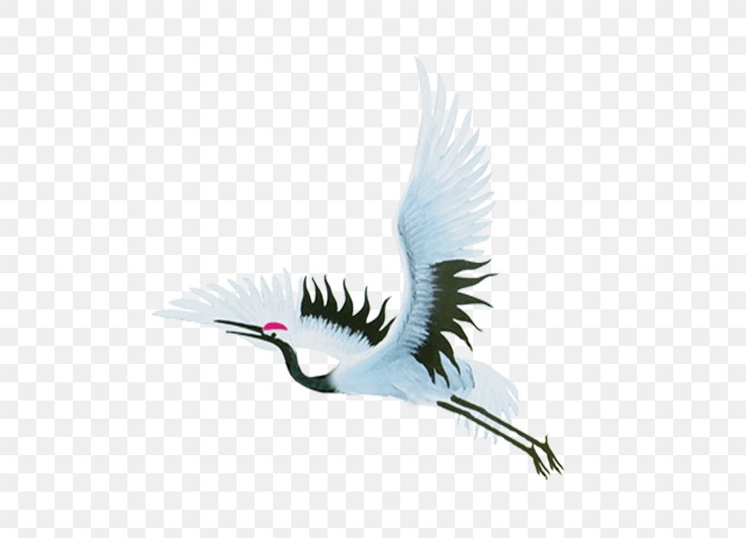 Bird Flight Crane Bird Flight, PNG, 591x591px, Bird, Beak, Bird Flight, Crane, Crane Like Bird Download Free