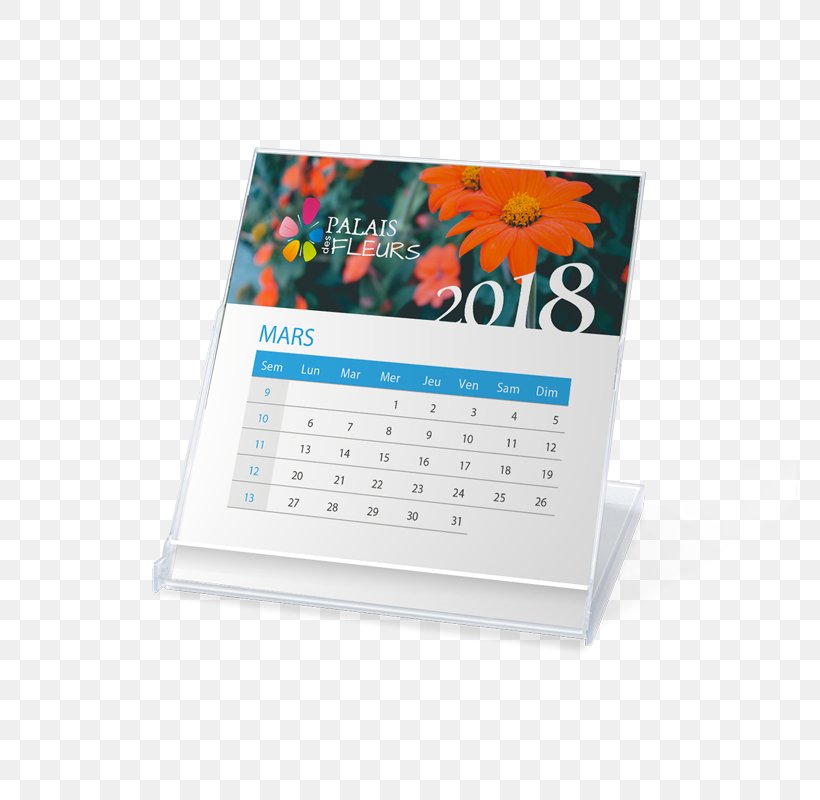 Calendar Cartoon, PNG, 800x800px, Calendar, Advertising, Display Advertising, Multimedia, Office Equipment Download Free