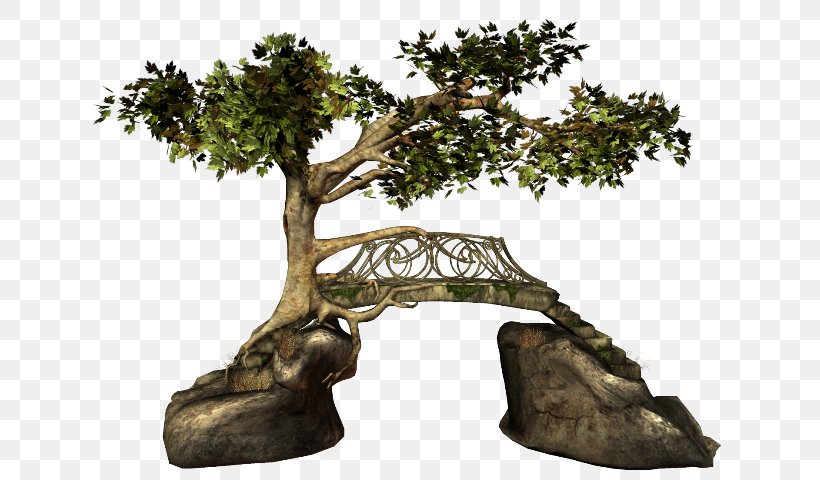 Clip Art, PNG, 650x480px, Graphic Arts, Blog, Bonsai, Bridge, Houseplant Download Free