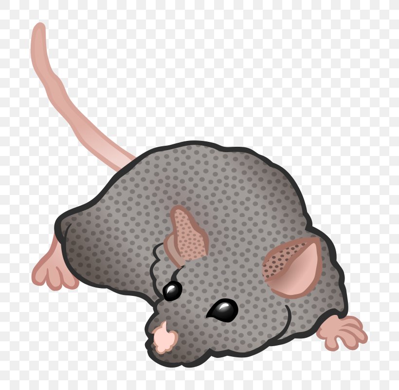 Computer Mouse Rat Rodent, PNG, 785x800px, Computer Mouse, Armadillo, Carnivoran, Cartoon, Cat Download Free