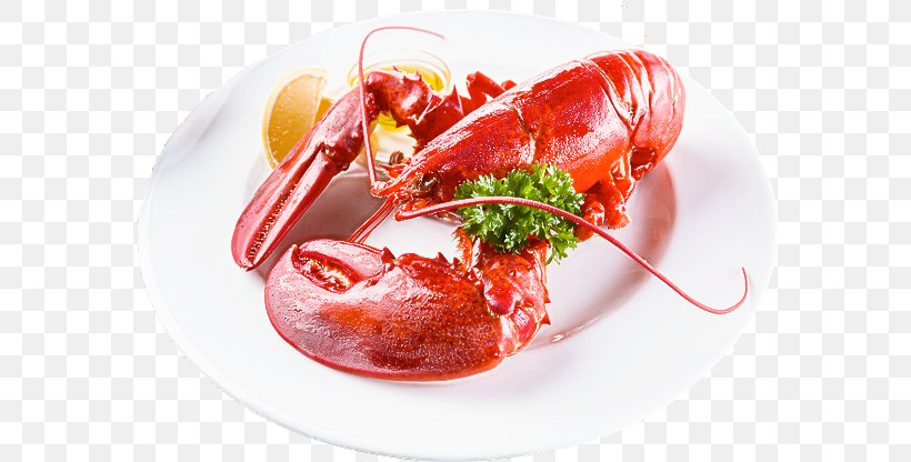 Food Lobster Dish Cuisine Ingredient, PNG, 602x416px, Food, American Lobster, Cuisine, Dish, Garnish Download Free