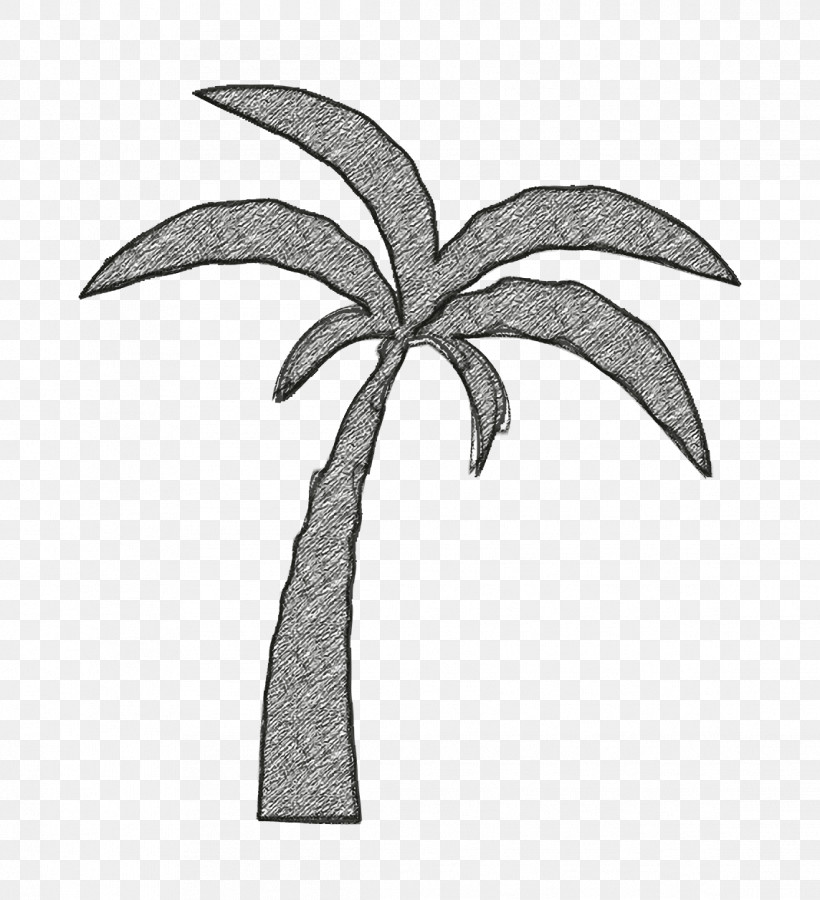 Nature Icon Palm Tree Icon Beach Icon, PNG, 1144x1256px, Nature Icon, Beach Icon, Biology, Black, Drawing Download Free