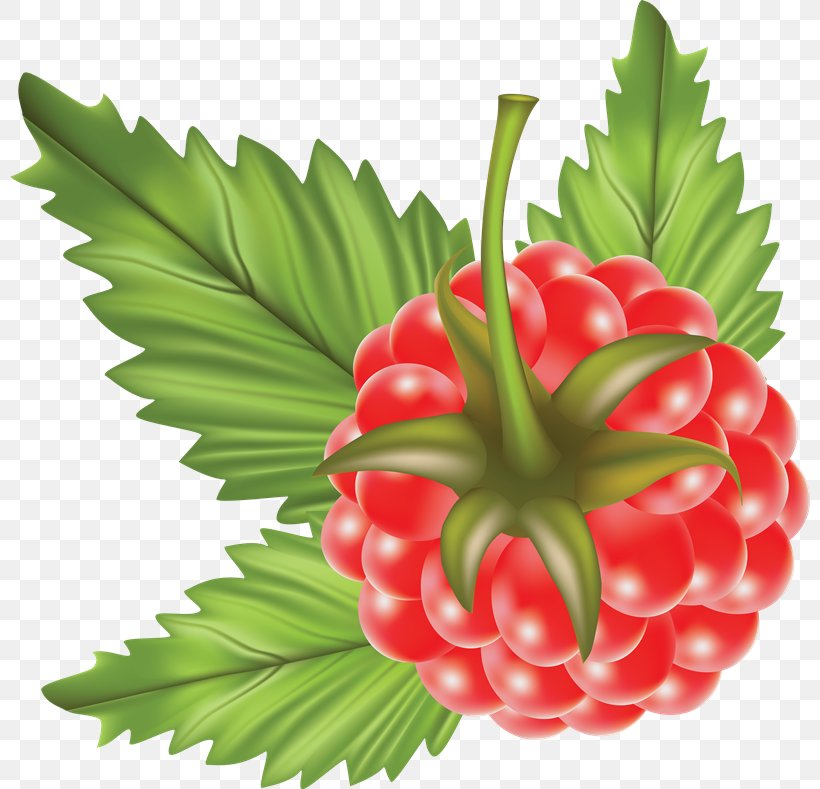 Raspberry, PNG, 800x789px, Raspberry, Berry, Black Raspberry, Food, Fruit Download Free