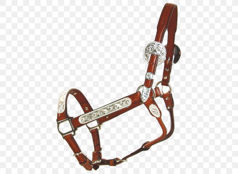 Sporting Goods, PNG, 447x600px, Sport, Horse Tack, Sporting Goods, Sports Equipment Download Free