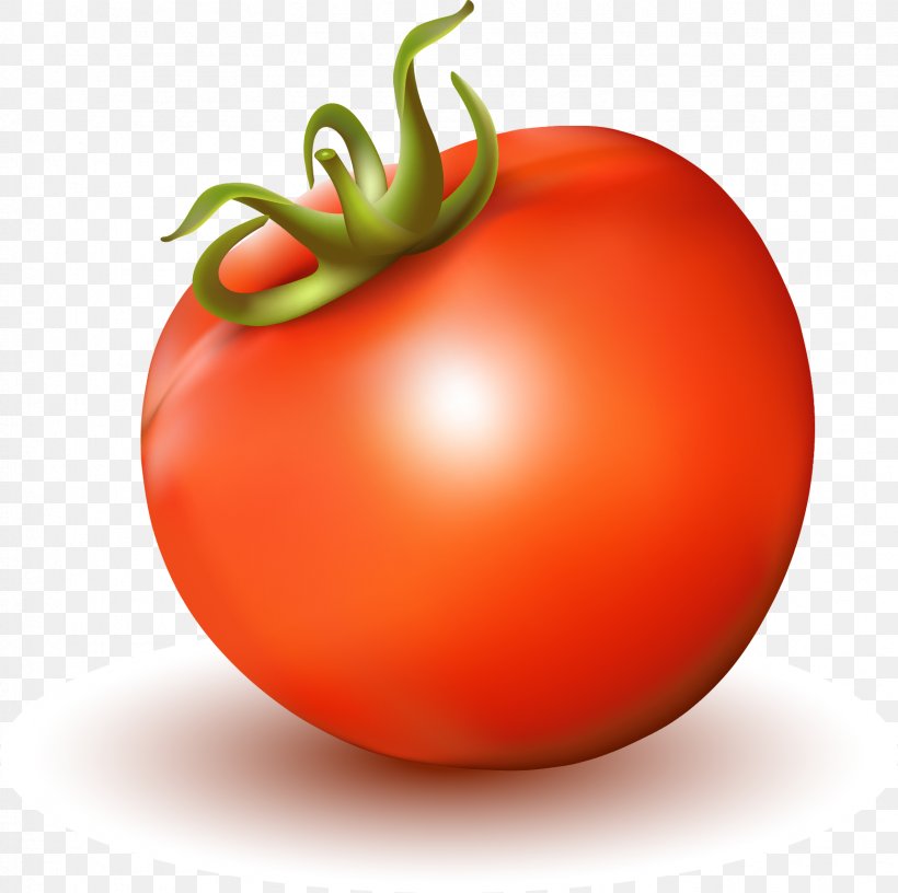 Tomato Juice Tomato Soup, PNG, 1719x1711px, Tomato Juice, Bush Tomato, Diet Food, Food, Fruit Download Free