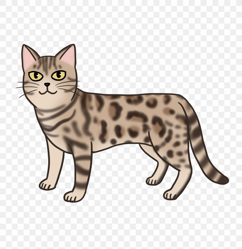 American Shorthair California Spangled American Wirehair Bengal Cat Tabby Cat, PNG, 2756x2846px, American Shorthair, American Wirehair, Asian, Bengal, Bengal Cat Download Free