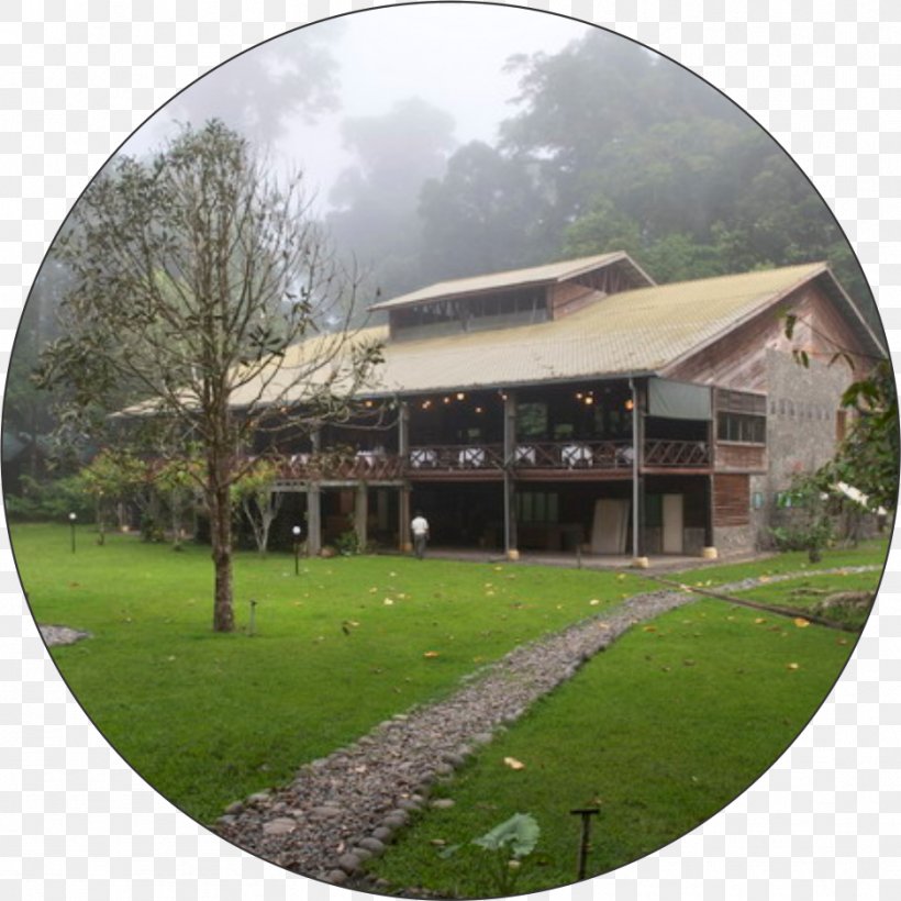 Borneo Rainforest Lodge Accommodation Danum Valley Conservation Area Package Tour, PNG, 937x937px, Rainforest, Accommodation, Archetype, Borneo, Conservation Area Download Free
