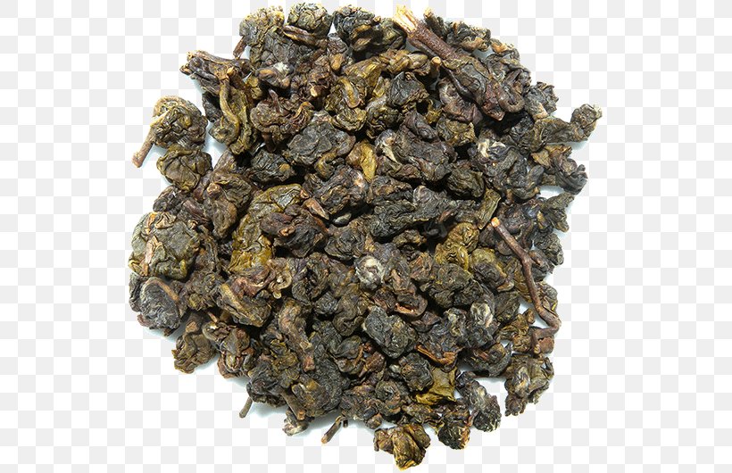 Oolong Gunpowder Tea Green Tea Nilgiri Tea, PNG, 535x530px, Oolong, Biluochun, Ceylon Tea, Chinese Tea, Da Hong Pao Download Free