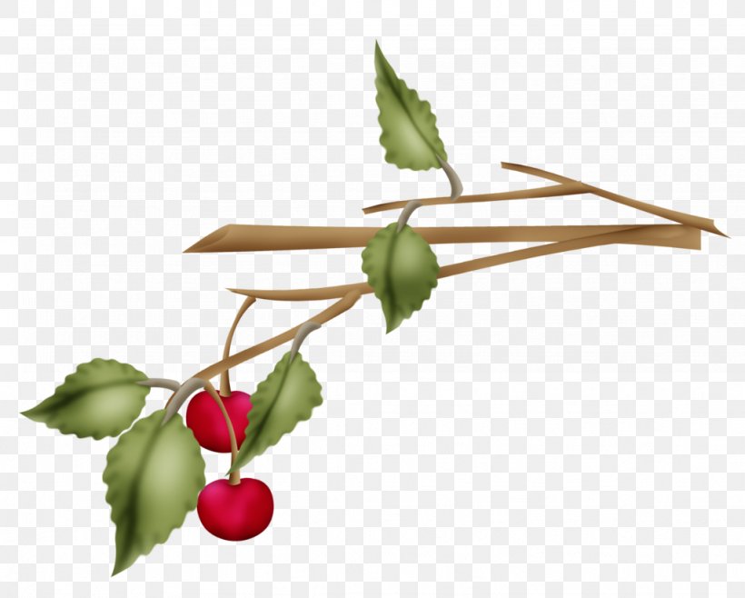 Rose Hip Twig Plant Stem Leaf, PNG, 1024x822px, Rose Hip, Berry, Branch, Food, Fruit Download Free