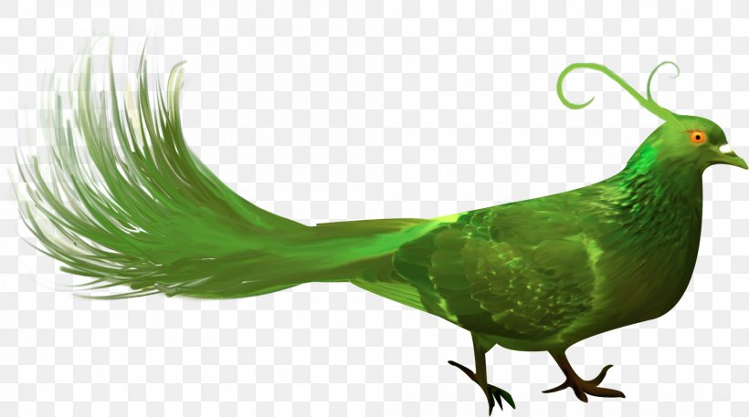 Bird Beak Green, PNG, 2004x1119px, Bird, Beak, Bird Flight, Data Compression, Fauna Download Free