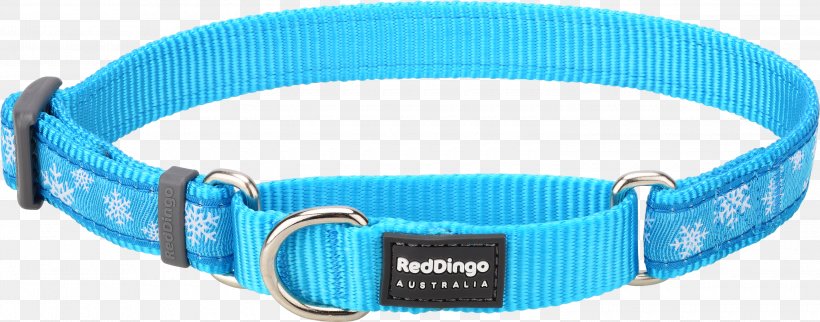 Martingale Dog Collar WholesalePet.com, PNG, 3000x1179px, Martingale, Aqua, Blue, Collar, Dog Download Free