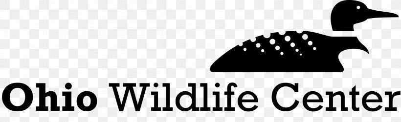 Ohio Wildlife Center Animal Control And Welfare Service Human–wildlife Conflict Non-profit Organisation, PNG, 4799x1467px, Wildlife, Animal Control And Welfare Service, Area, Black, Black And White Download Free