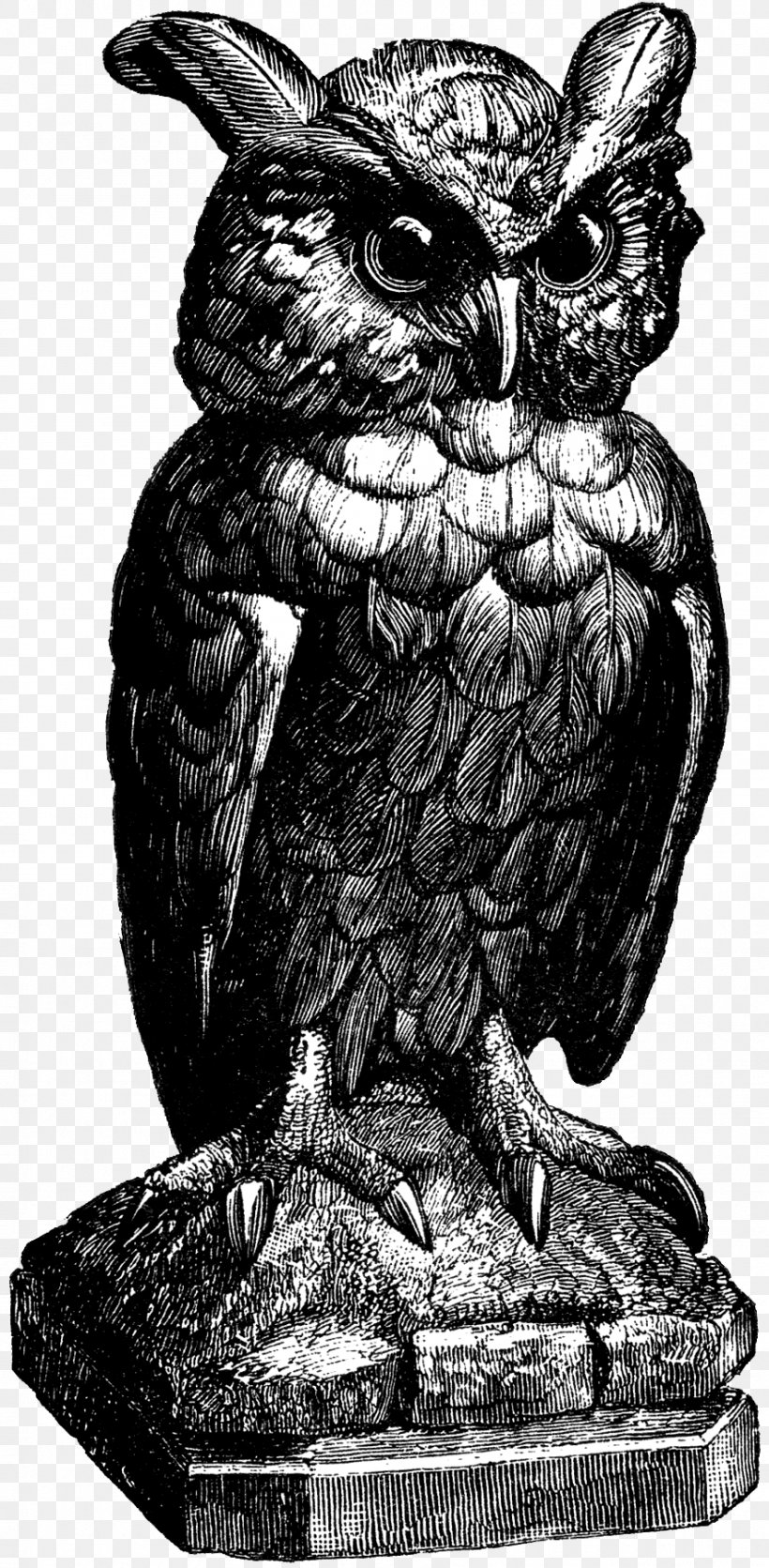 Owl Clip Art Graphics Illustration Download, PNG, 883x1800px, Owl, Art, Beak, Bird, Bird Of Prey Download Free