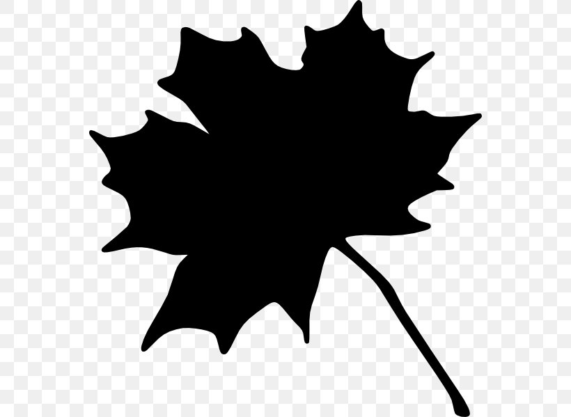 Clip Art Maple Leaf Openclipart Image Vector Graphics, PNG, 564x599px, Maple Leaf, Black, Black Maple, Blackandwhite, Cdr Download Free