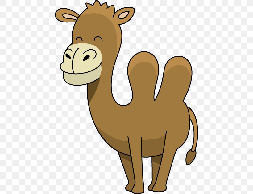 Dromedary Camel Face Cartoon Clip Art, PNG, 464x630px, Dromedary, Animal, Animal Figure, Arabian Camel, Camel Download Free