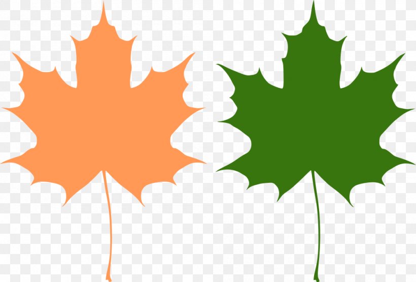 Maple Leaf Canada Clip Art, PNG, 1000x677px, Maple Leaf, Canada, Flag Of Canada, Flowering Plant, Leaf Download Free