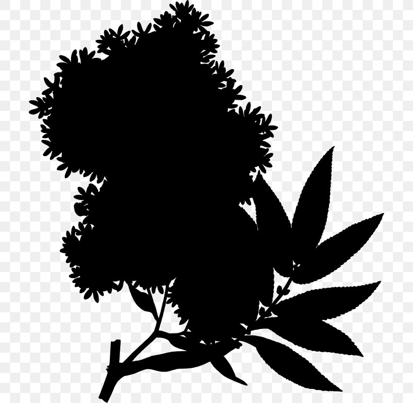 Silhouette Drawing Clip Art, PNG, 706x800px, Silhouette, Art, Black, Black And White, Branch Download Free