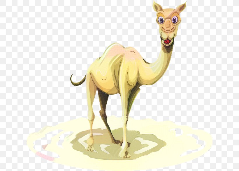 Dromedary Llama Illustration Image, PNG, 638x588px, Dromedary, Animal Figure, Arabian Camel, Art, Camel Download Free