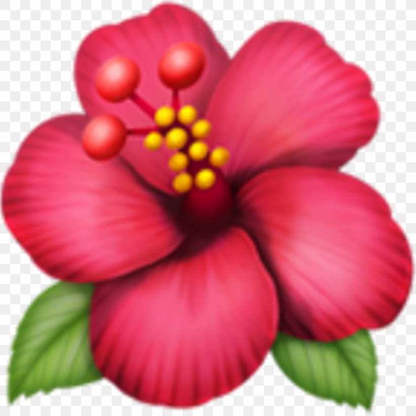 Emojipedia Flower Rosemallows IPhone, PNG, 1024x1024px, Emoji, Annual Plant, China Rose, Chinese Hibiscus, Emoji Domain Download Free