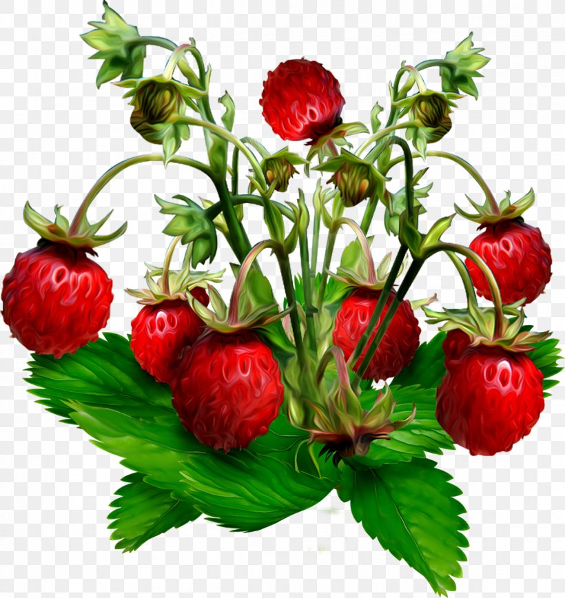 Musk Strawberry Gooseberry Wild Strawberry Jostaberry, PNG, 1208x1280px, Musk Strawberry, Berry, Blackberry, Cultivar, Currant Download Free