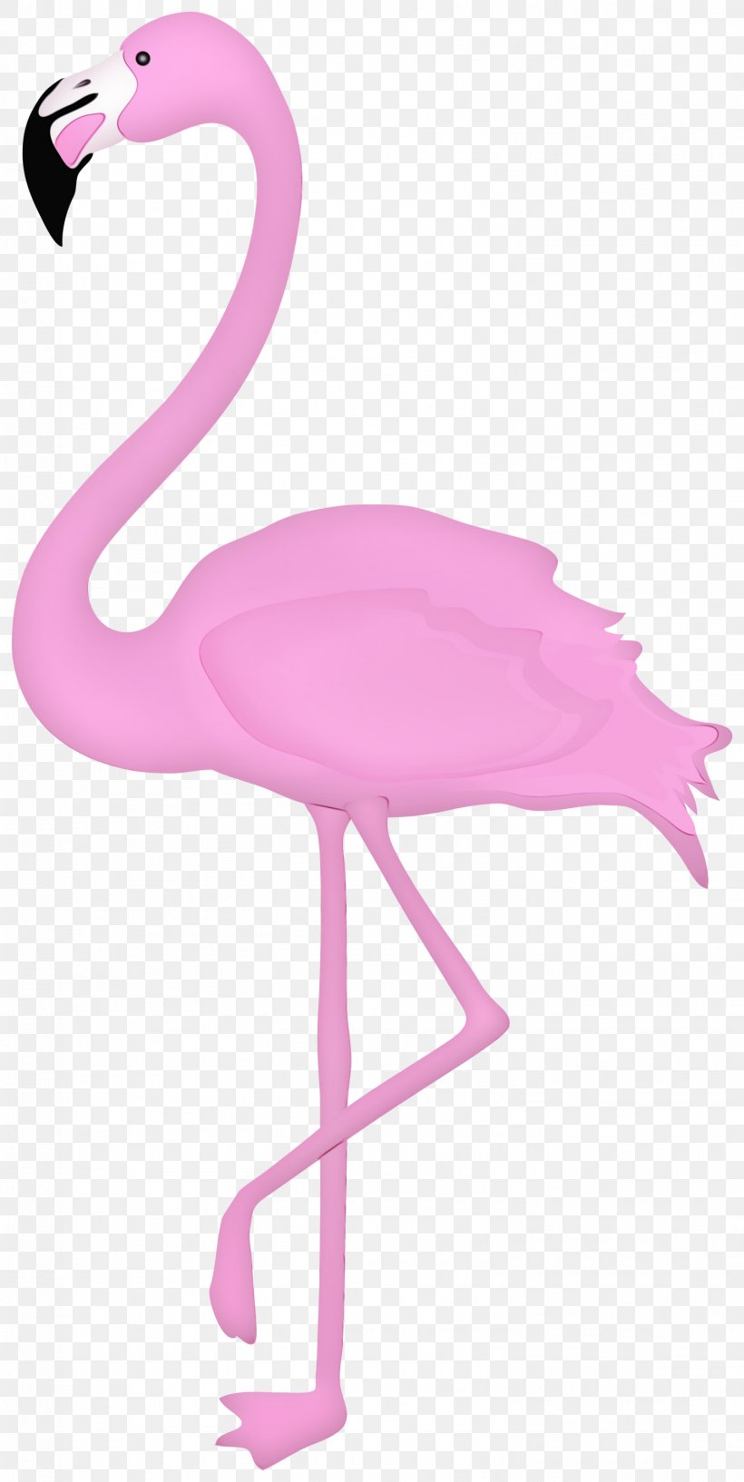 Фламинго мультяшный