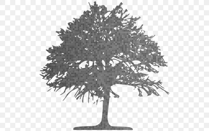 Tree Clip Art Oak Vector Graphics, PNG, 512x512px, Tree, Black And White, Branch, Deciduous, Green Download Free