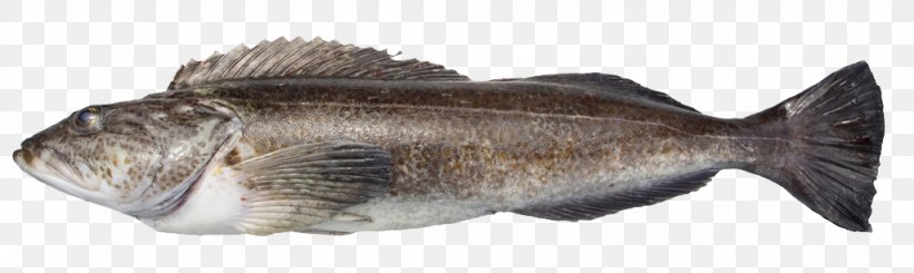Fisherman's Wharf Food Cod 鮮魚, PNG, 1024x306px, Fish, Animal Figure, Cod, Fauna, Fishing Download Free