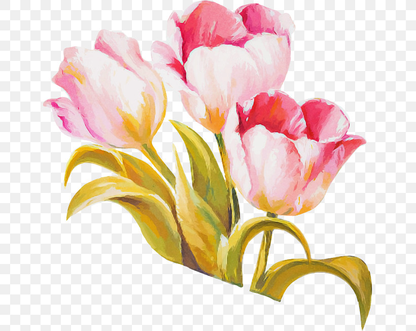 Flower Bouquet, PNG, 649x652px, Tulip, Cut Flowers, Floral Design, Flower, Flower Bouquet Download Free