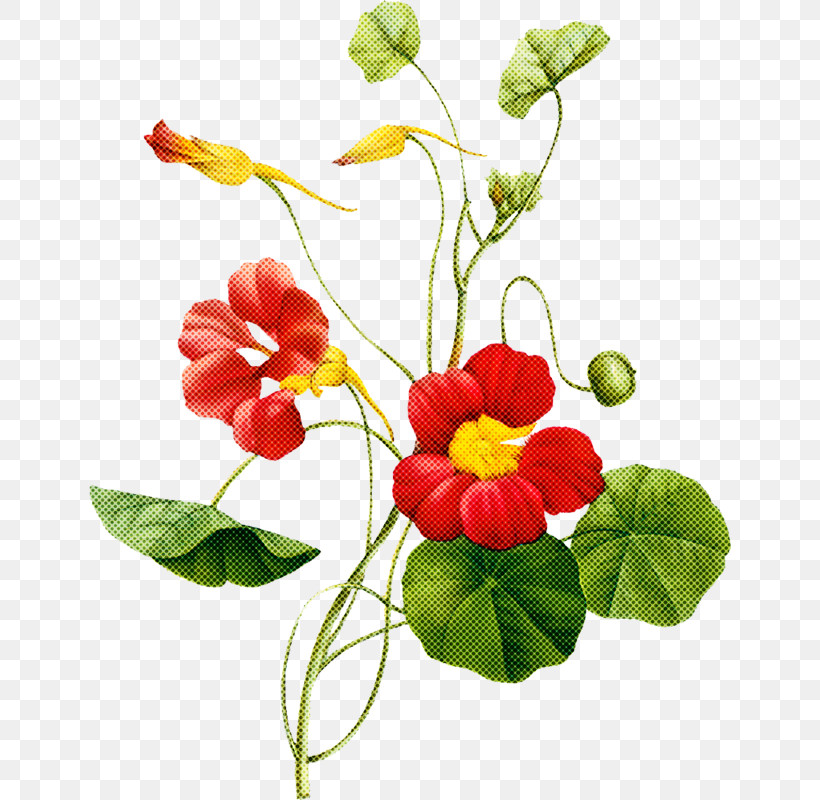 Artificial Flower, PNG, 642x800px, Flower, Anthurium, Artificial Flower, Geranium, Houseplant Download Free