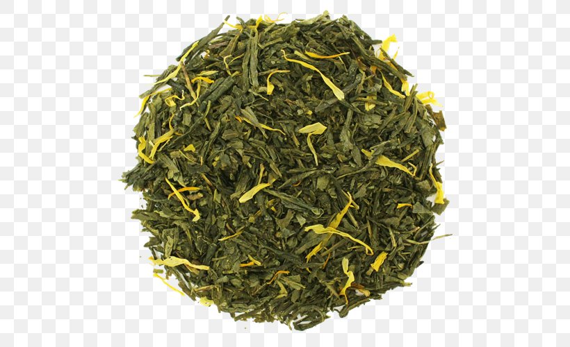 Gyokuro Nilgiri Tea Genmaicha Sencha, PNG, 500x500px, Gyokuro, Assam Tea, Bai Mudan, Bancha, Biluochun Download Free