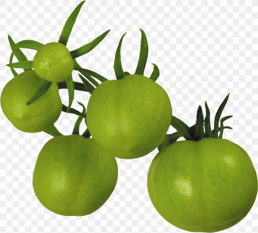 Vegetarian Cuisine Fried Green Tomatoes Clip Art, PNG, 850x770px, Vegetarian Cuisine, Bush Tomato, Egg, Food, Fried Green Tomatoes Download Free