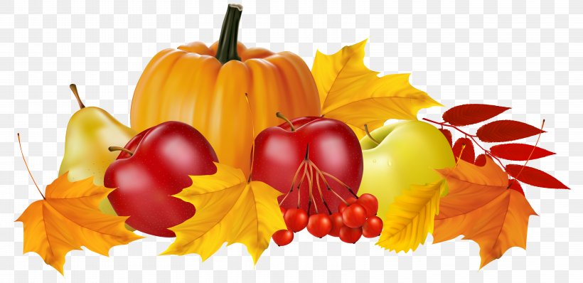 Zucchini Pumpkin Autumn Clip Art, PNG, 6449x3134px, Zucchini, Autumn, Bell Peppers And Chili Peppers, Calabaza, Cucurbita Download Free
