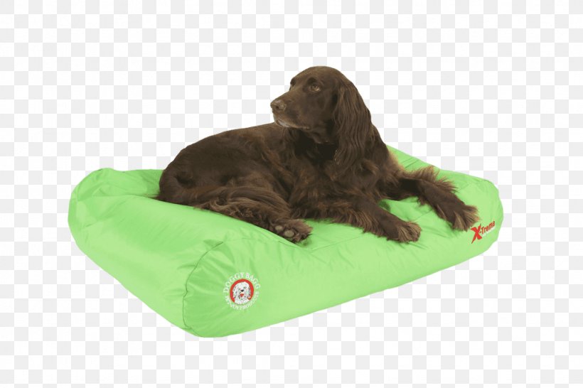 Boykin Spaniel Dog Breed Flat-Coated Retriever Puppy, PNG, 1024x683px, Boykin Spaniel, Apple, Bed, Breed, Coat Download Free