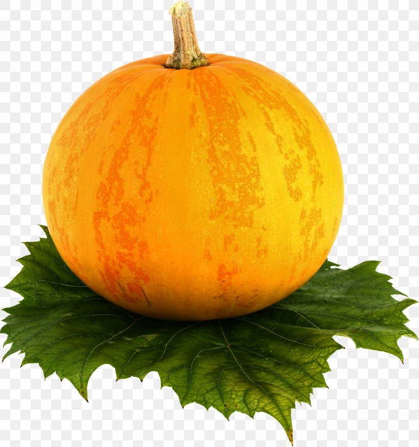 Butternut Squash Cantaloupe Korean Melon Pumpkin, PNG, 1877x2000px, Butternut Squash, Calabaza, Cantaloupe, Cucumber Gourd And Melon Family, Cucurbita Download Free