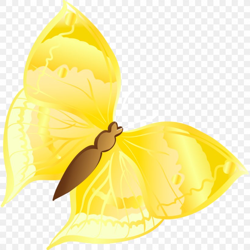 Cartoon Graphic Design, PNG, 1000x1000px, Cartoon, Butterfly, Designer, Food, Fruit Download Free