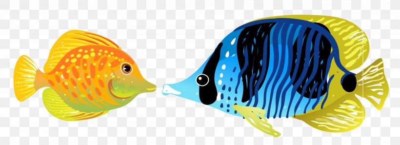 Fish Aquatic Animal Illustration, PNG, 3374x1226px, Fish, Aquatic Animal, Beak, Color, Deep Sea Creature Download Free
