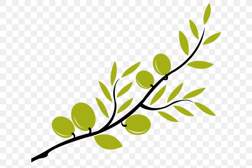 Olive Branch Mediterranean Cuisine Clip Art, PNG, 639x548px, Olive