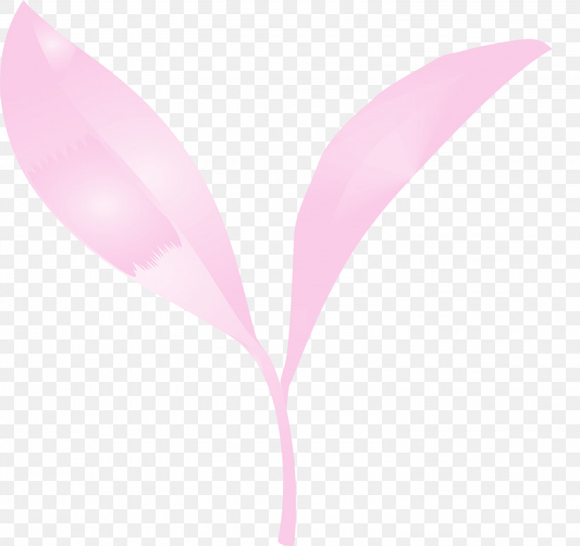 Pink Leaf Plant Flower Magenta, PNG, 3000x2825px, Tea Leaves, Anthurium, Flower, Leaf, Magenta Download Free