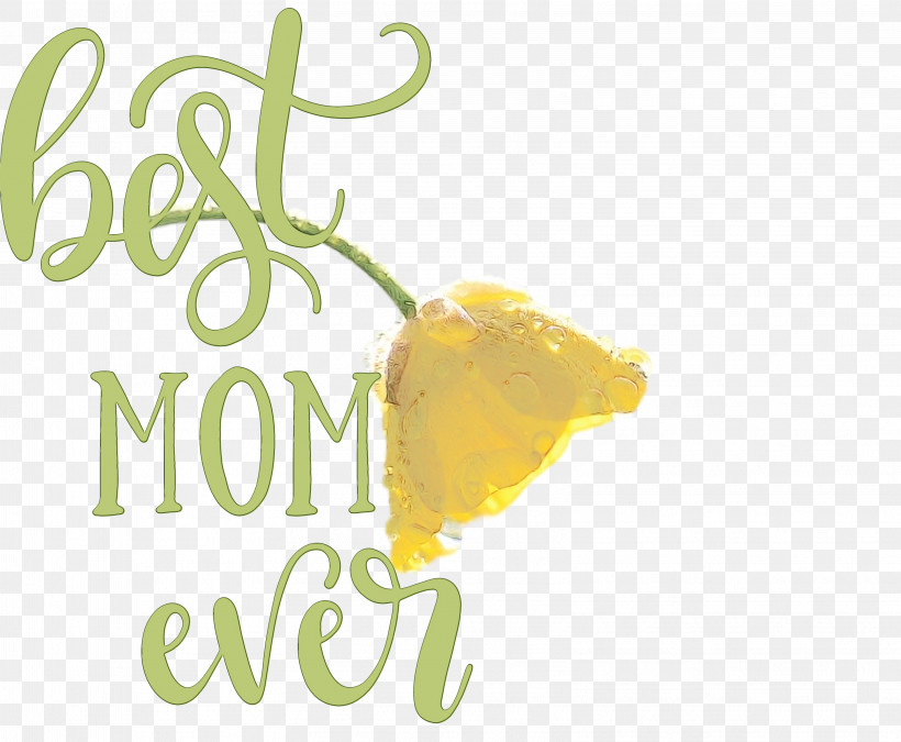 Sticker Gift Font Party Text, PNG, 3236x2667px, Mothers Day, Best Mom Ever, Flower, Gift, Holiday Download Free