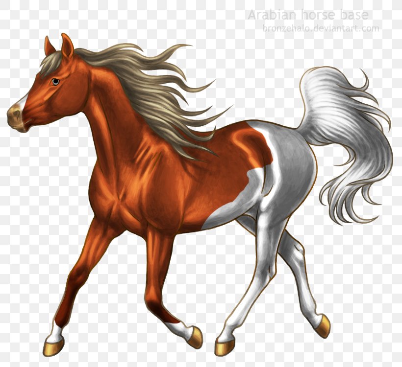 Arabian Horse Pony Mustang Stallion Foal, PNG, 800x750px, Arabian Horse, Bridle, Colt, Fictional Character, Foal Download Free