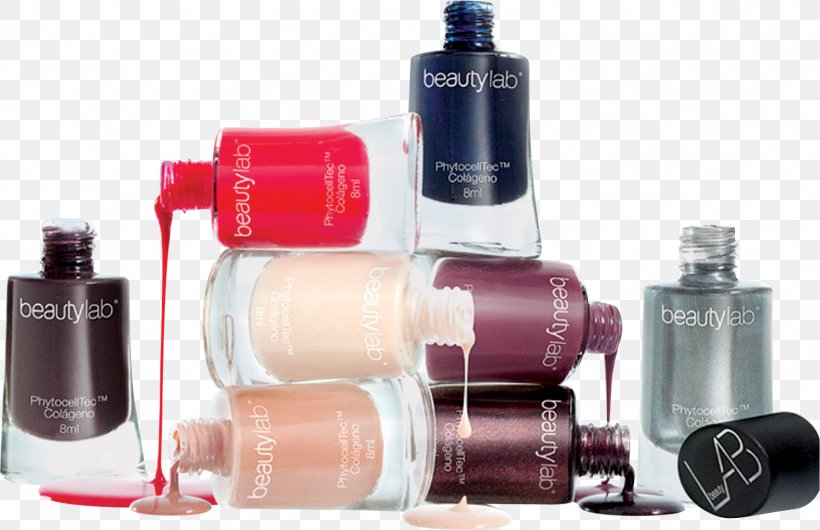 Nail Polish Beauty Photography Manicure Cosmetics, PNG, 1555x1006px, Nail Polish, Beauty, Brand, Cosmetics, Fashion Download Free