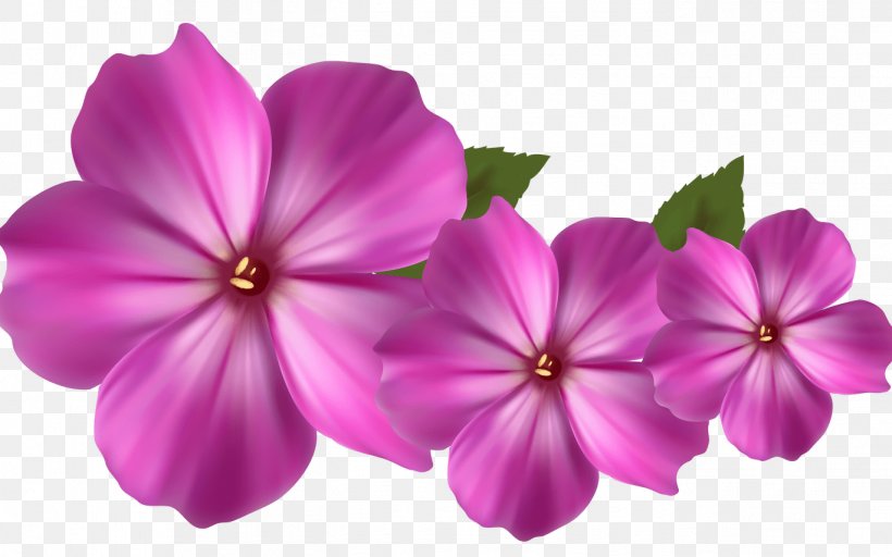 Pink Flower Cartoon, PNG, 1368x855px, Flower, Floral Design, Flower Bouquet, Flowering Plant, Geraniales Download Free