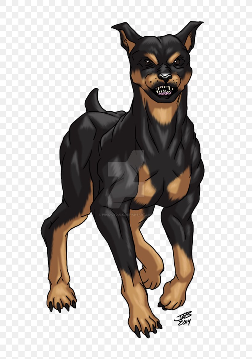 Dog Drawing, PNG, 685x1167px, Lancashire Heeler, Dobermann, Dog, Drawing, English Toy Terrier Download Free