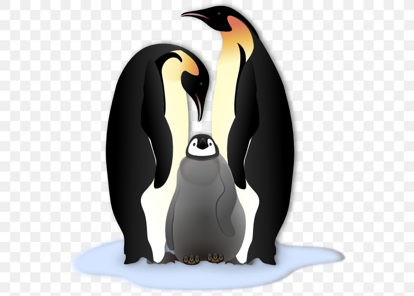 Emperor Penguin Free Content Clip Art, PNG, 555x587px, Penguin, Beak, Bird, Emperor Penguin, Flightless Bird Download Free