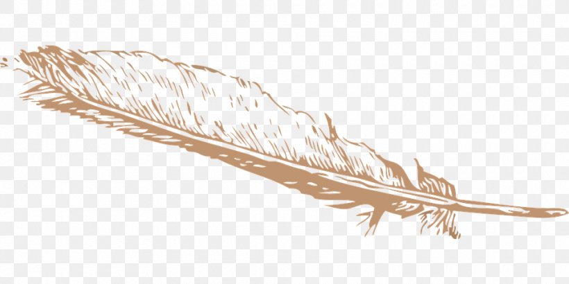Feather Clip Art, PNG, 960x480px, Feather, Commodity, Free Content, Grass Family, Public Domain Download Free